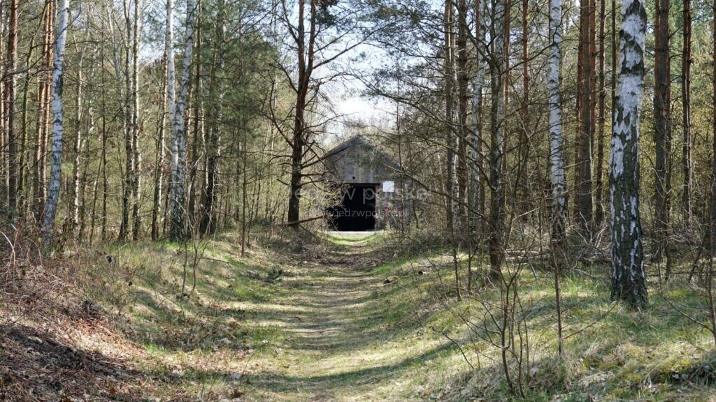 schron kolejowy w jeleniu mierzy 350 m i jest ukryty w lesie