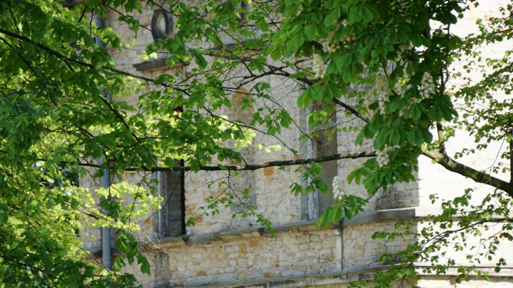 pałac Schoenberga w Wąchocku skryty za drzewami